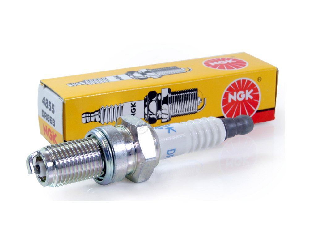 Genuine Iridium Spark Plugs